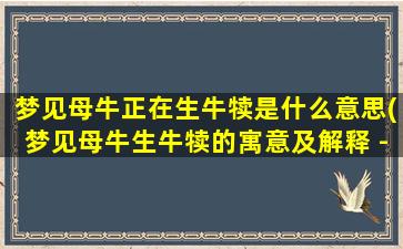 梦见母牛正在生牛犊是什么意思(梦见母牛生牛犊的寓意及解释 - 解梦分享)